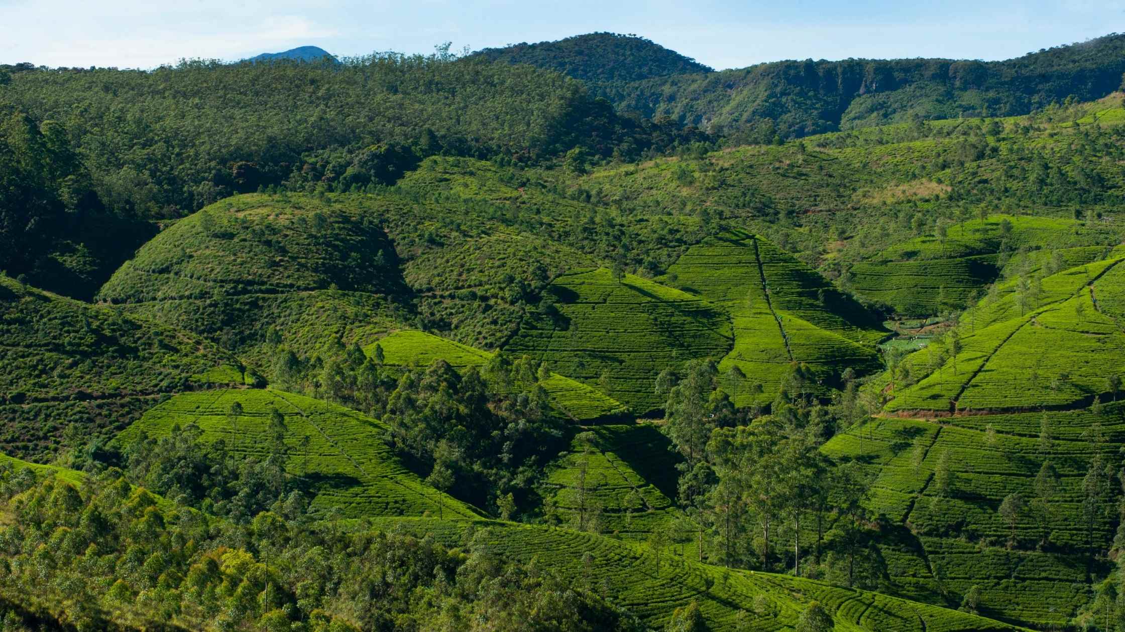 Day Two: The Taste of Tradition – How to Spend 48 Hours in Ella