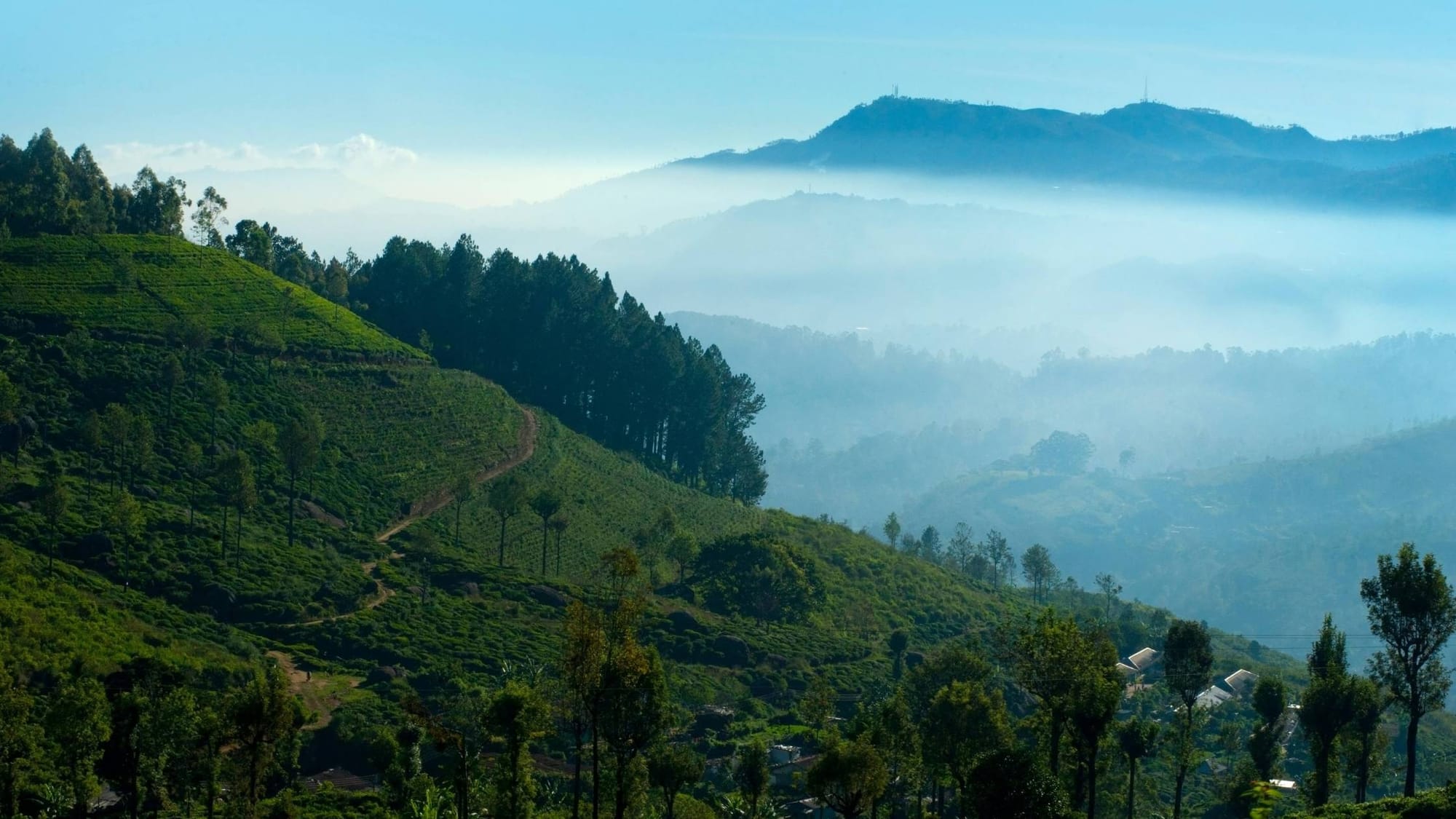 Top 10 Must-Visit Spots for First-Time Travelers to Sri Lanka