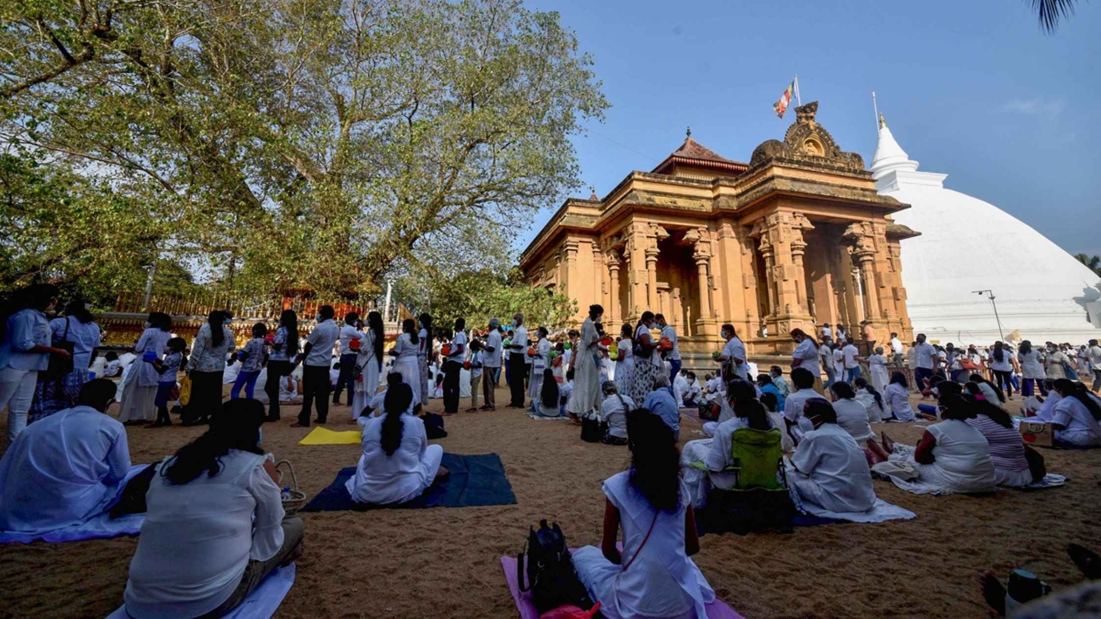 Why This Changes Everything (And Why You'll Love It Anyway) – Traveling During Holidays in Sri Lanka