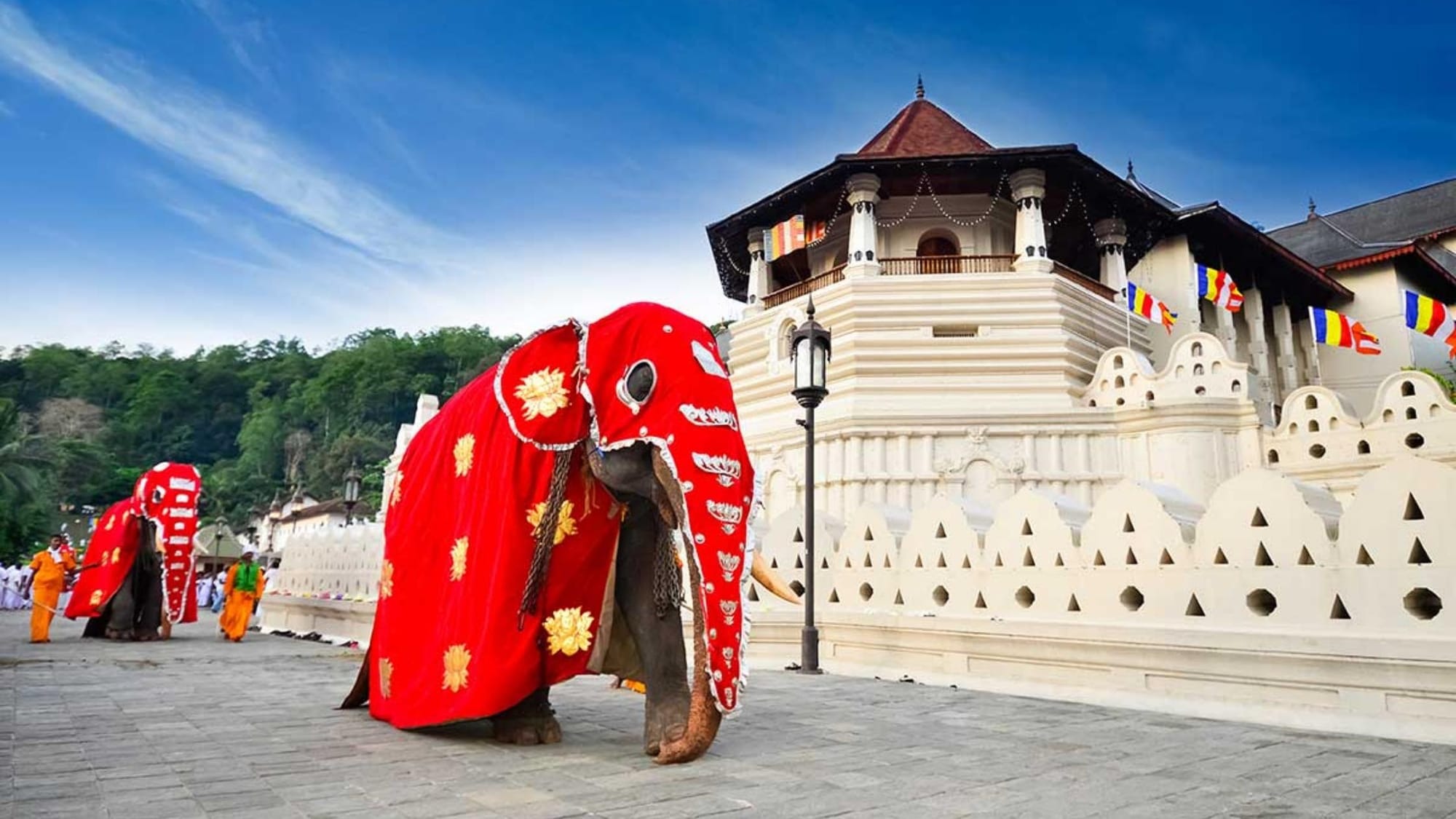 Top 10 Must-Visit Spots for First-Time Travelers to Sri Lanka