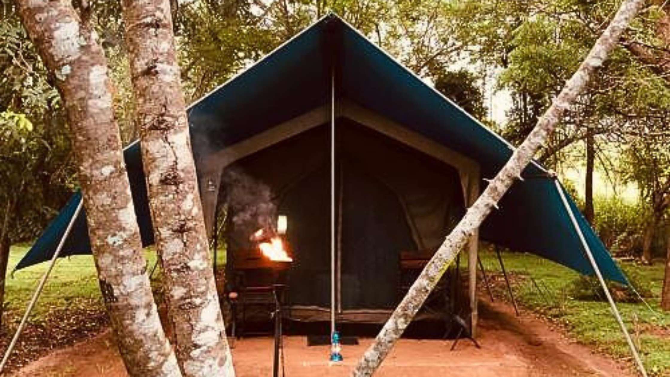 The Elephant Whisperer's Paradise – Camping Under the Stars