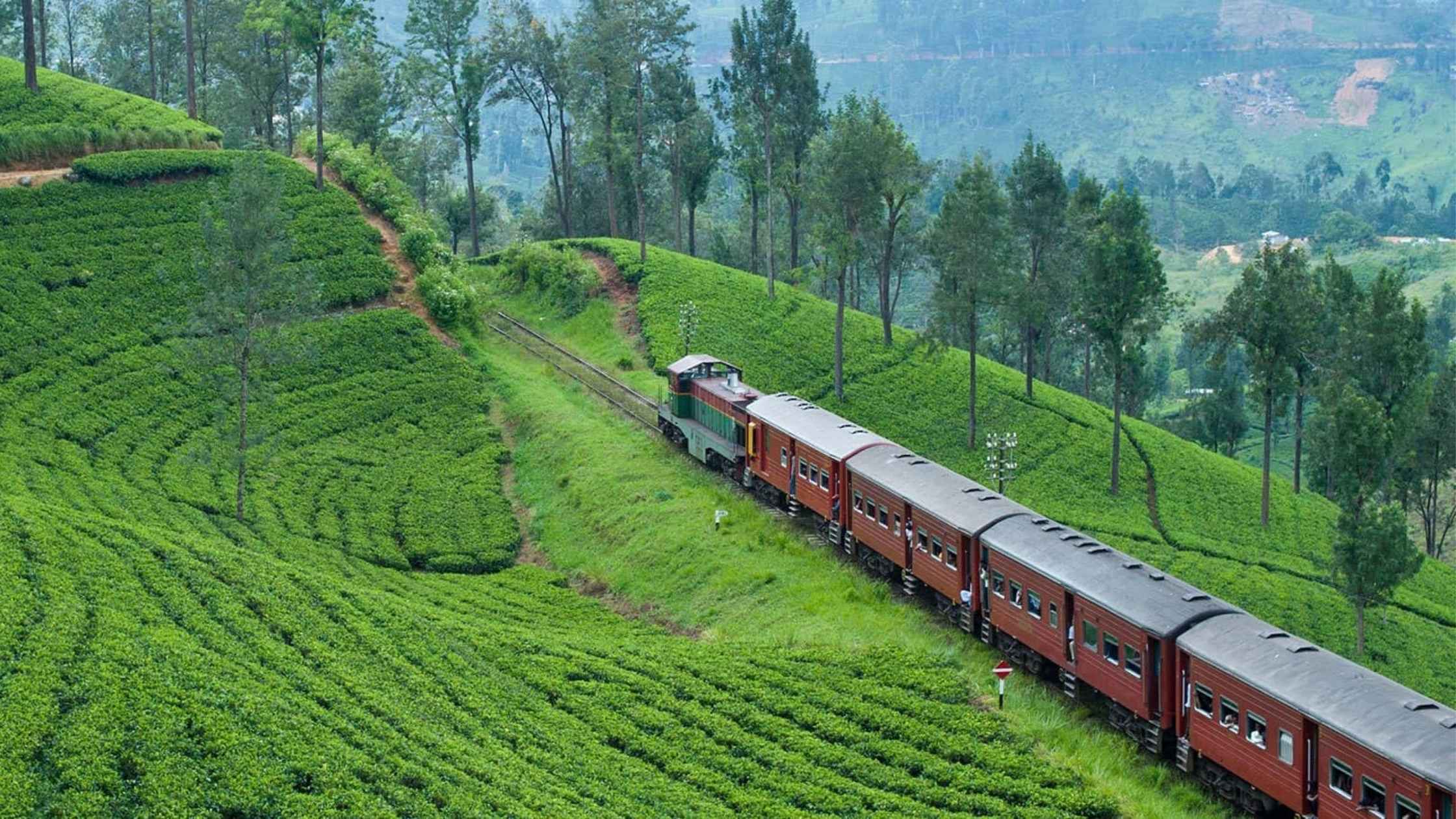 When Your Train Actually Arrives – Nine Arch Bridge, Ella