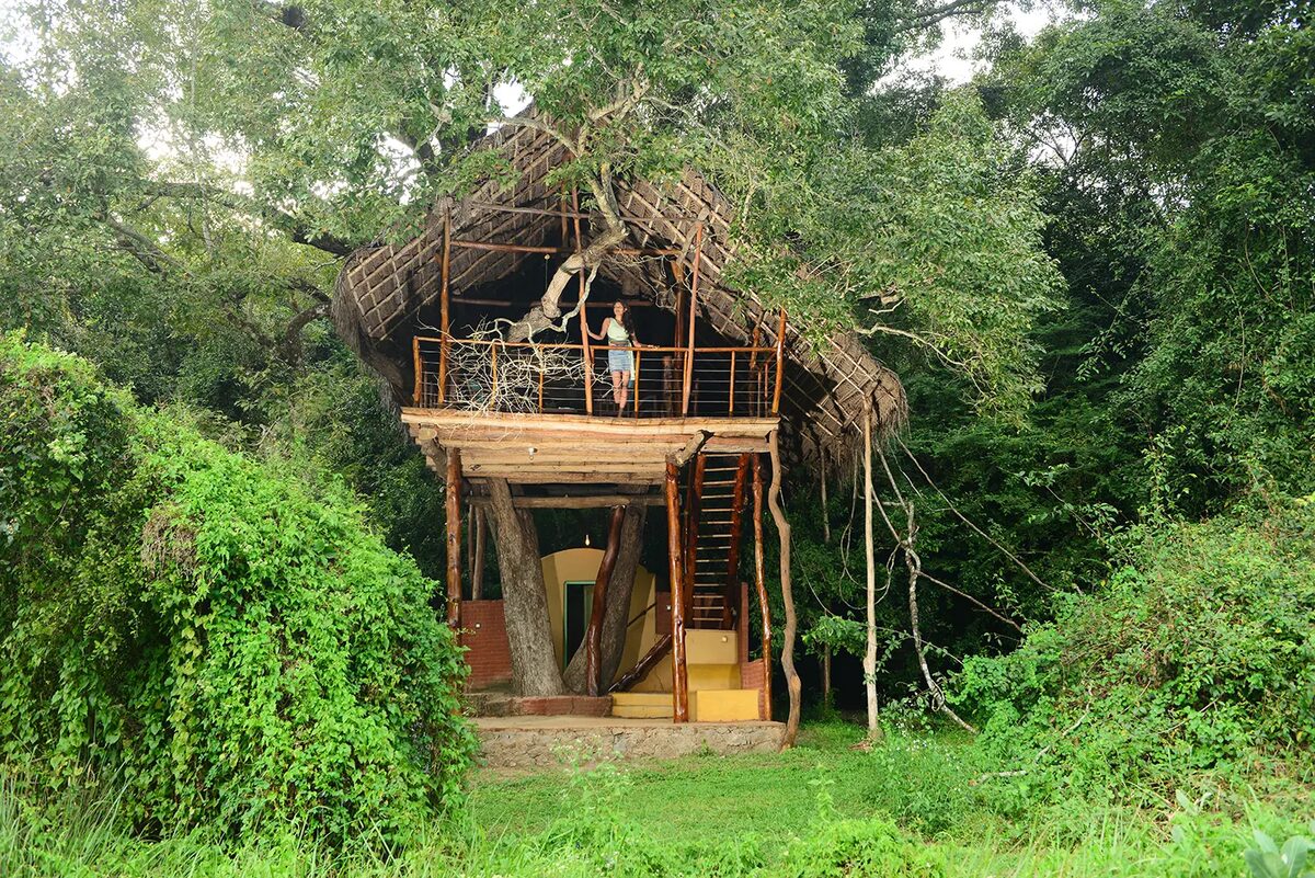 Treehouse at Back of Beyond Dehigaha Ela, Sigiriya, Sri Lanka