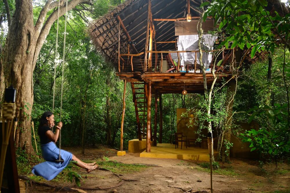 Traditional Sri Lankan treehouse accommodation in jungle setting