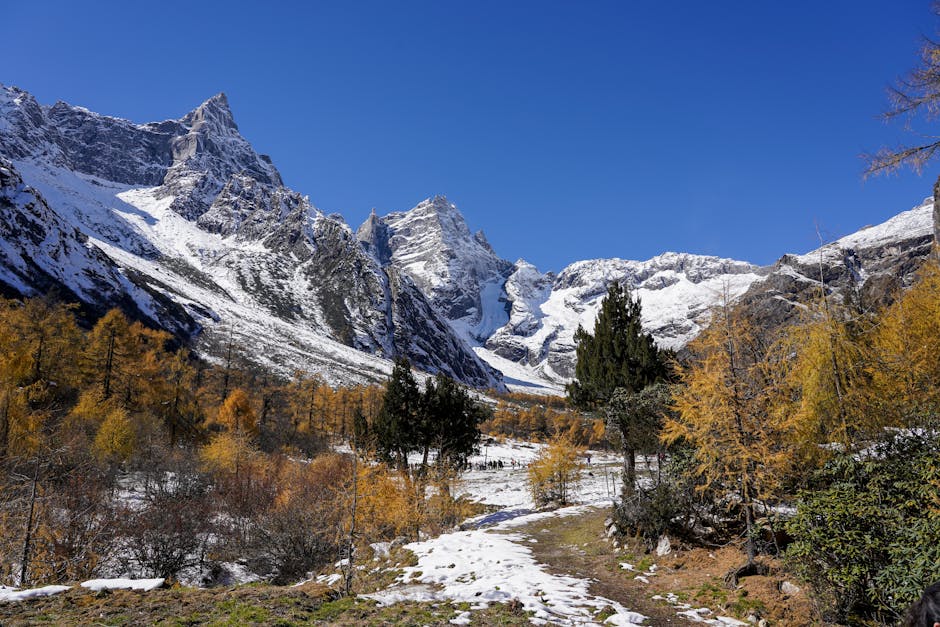 Stunning snowy mountains with autumn trees and a clear blue sky.