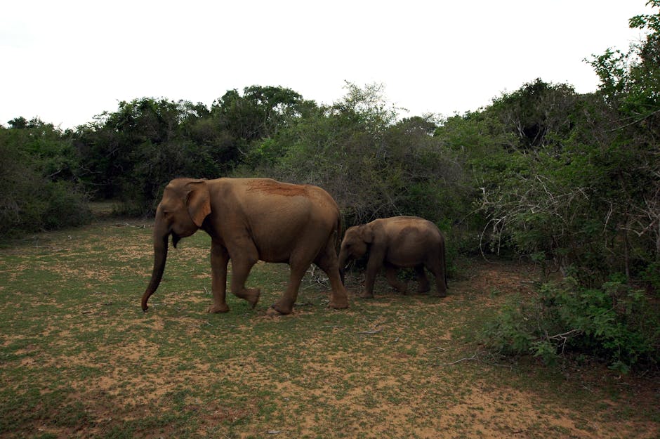 The Seven-Day Soul Searcher – Sri Lanka Itinerary