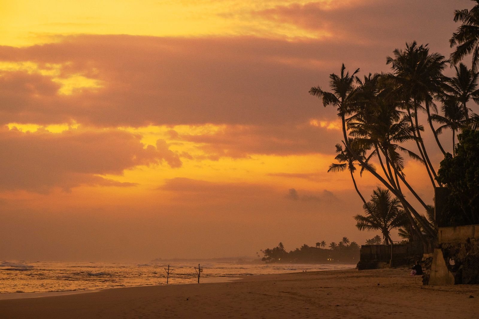 Palm trees silhouetted against an orange sunset on Ahangama beach