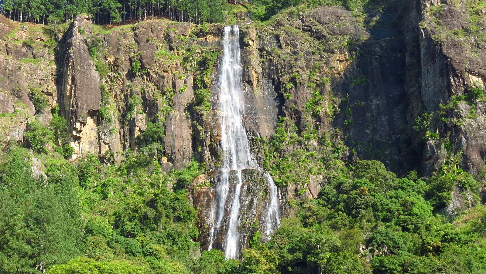 Bambarakanda Falls dropping down a forested cliff