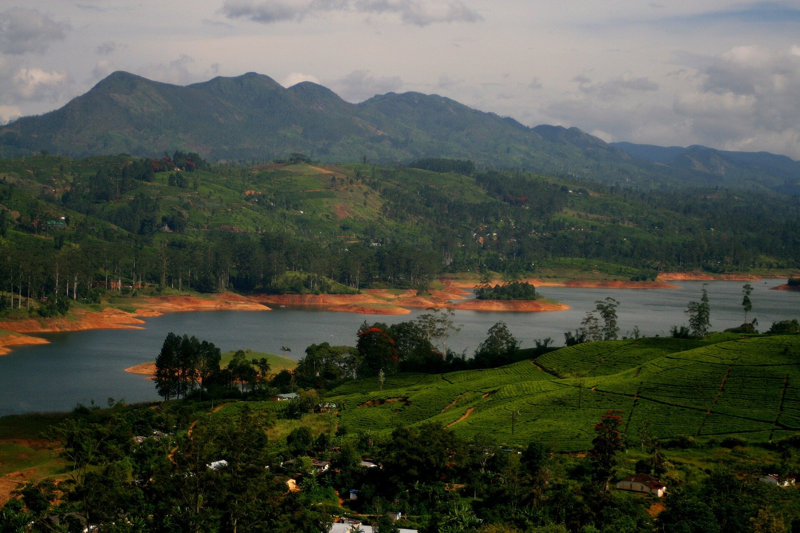 Castlereagh reservoir surrounded by tea estates in the hill country