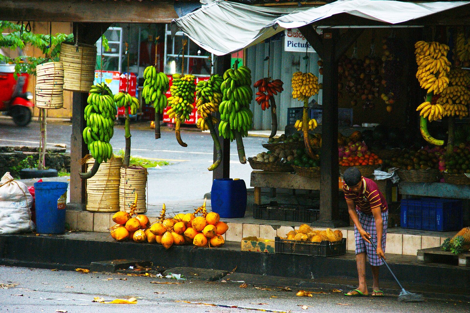 Fruit stalls with bananas and king coconuts at the Galle market