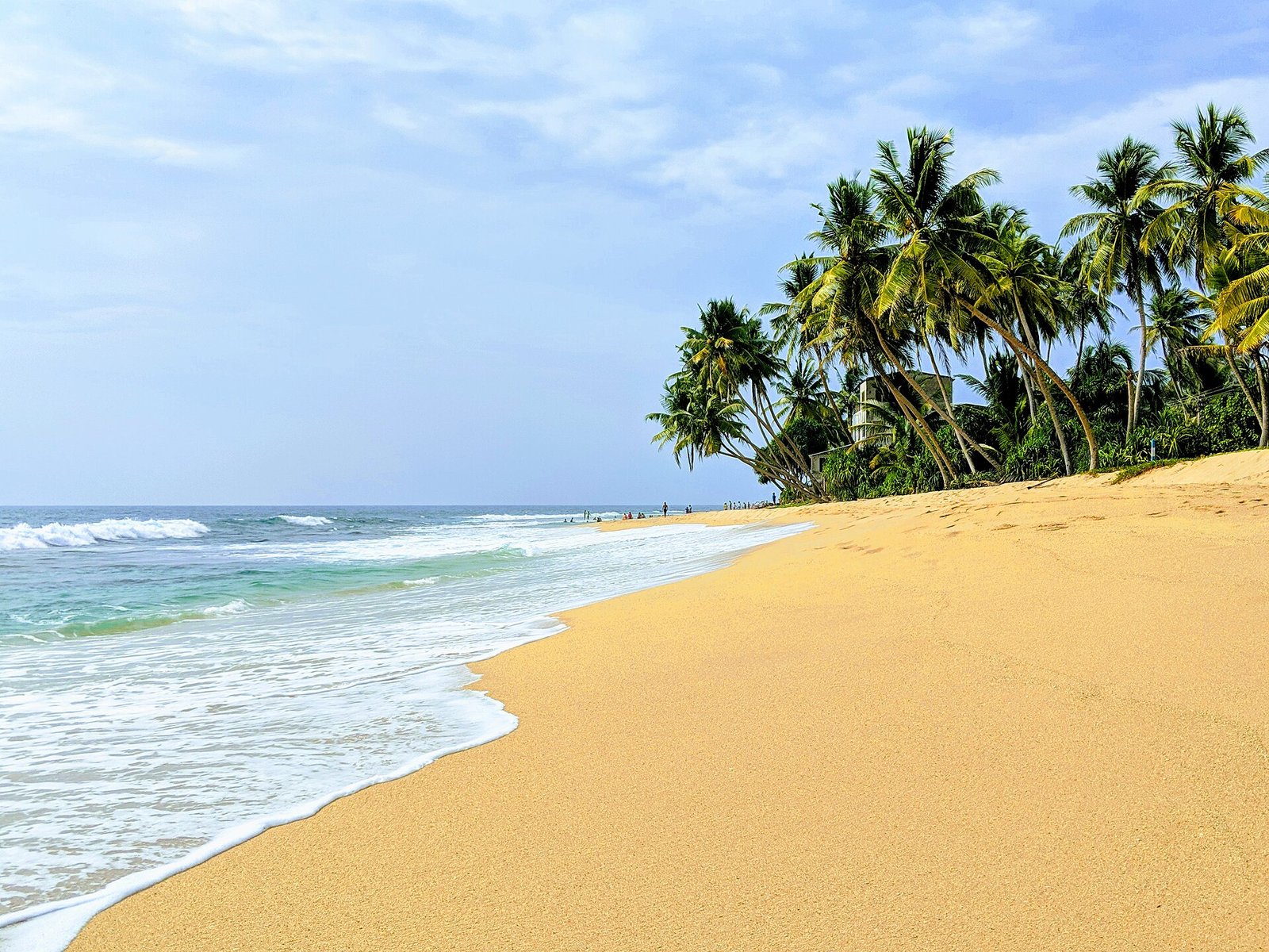 Golden sand and palm trees on Hikkaduwa beach