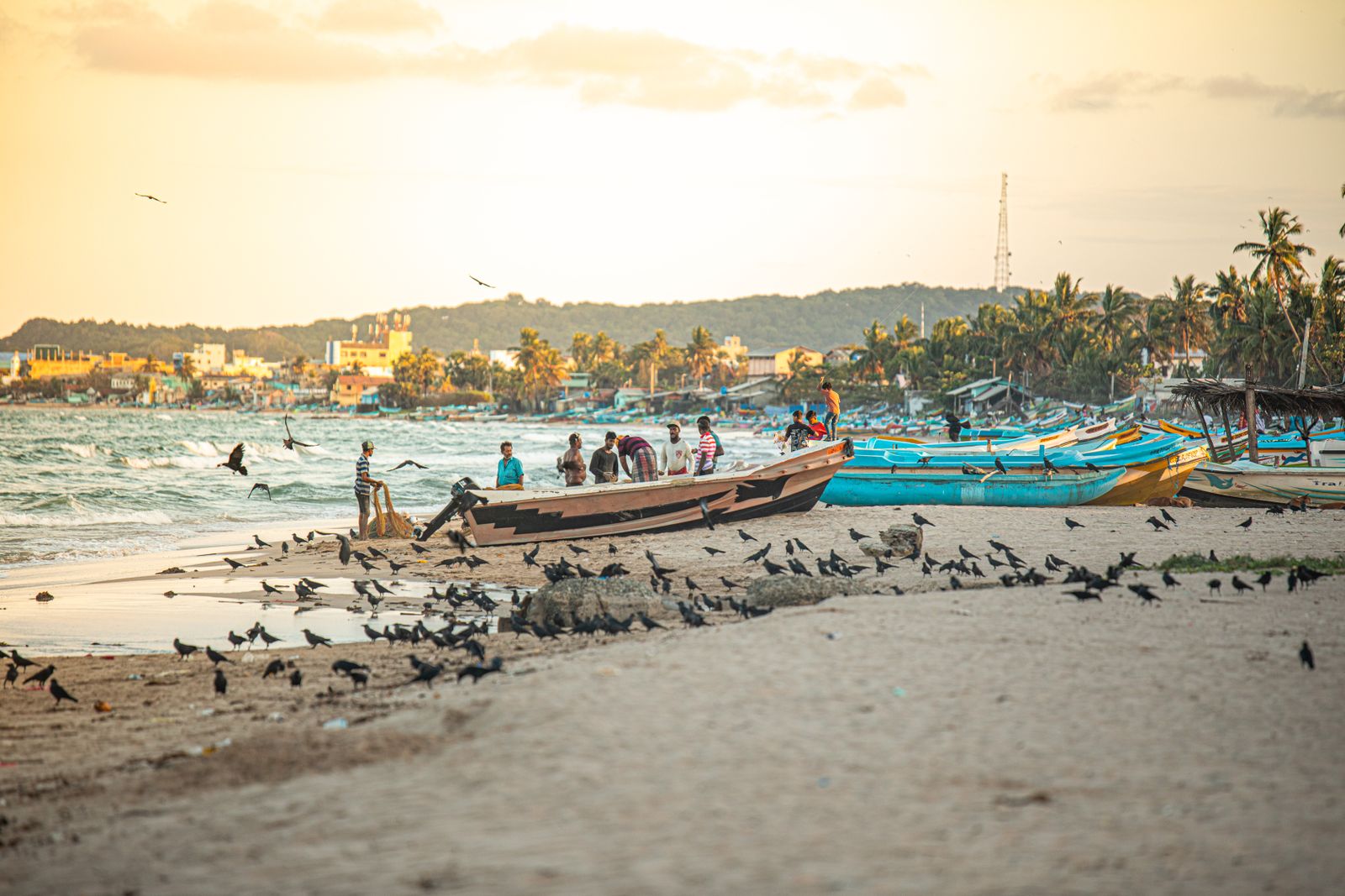 A vibrant scene of fishermen and boats on Trincomalee Beach with a flock of birds against a sunset backdrop.