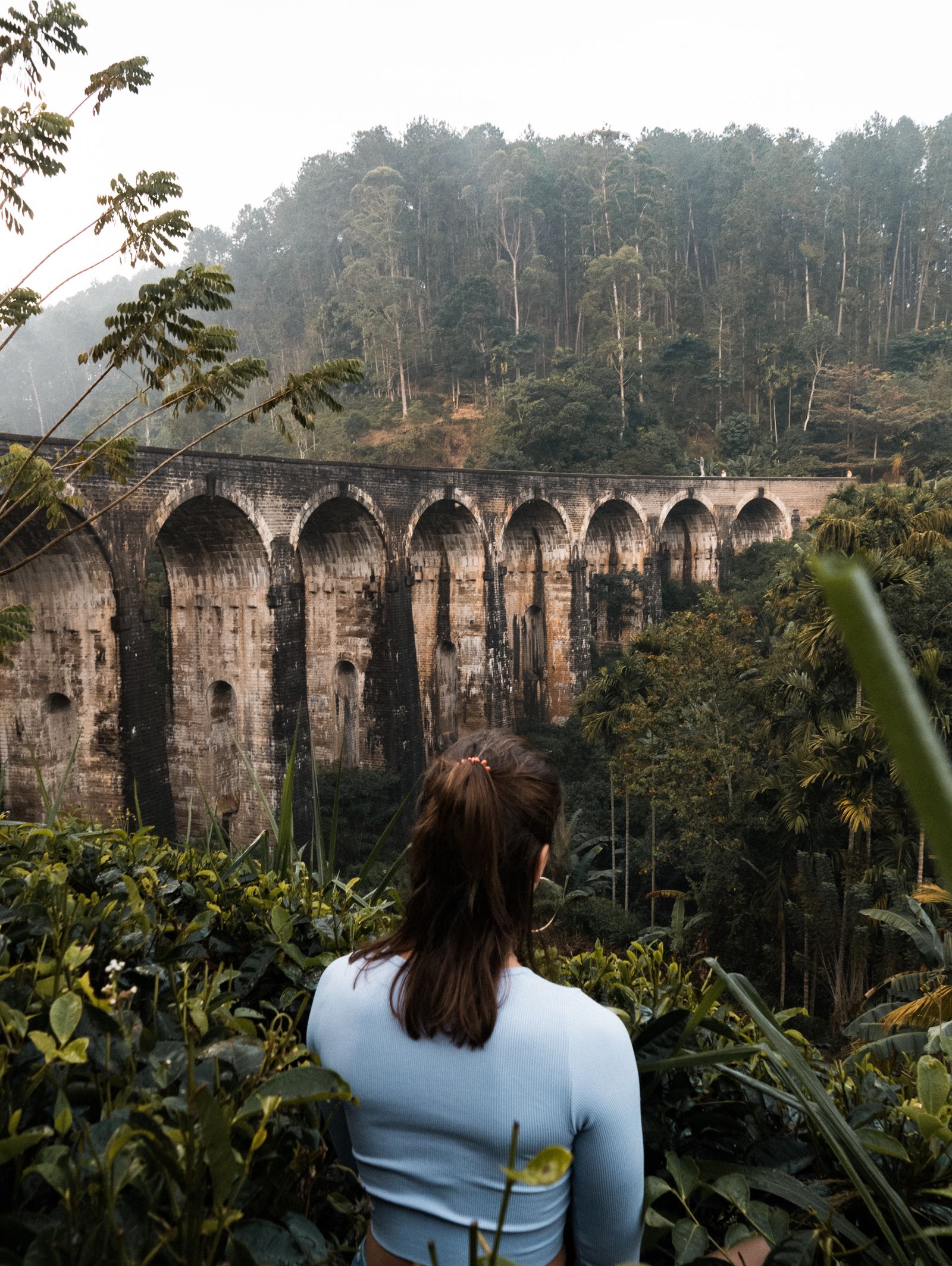 Lush jungle surrounding the Nine Arches Bridge in Ella, Sri Lanka