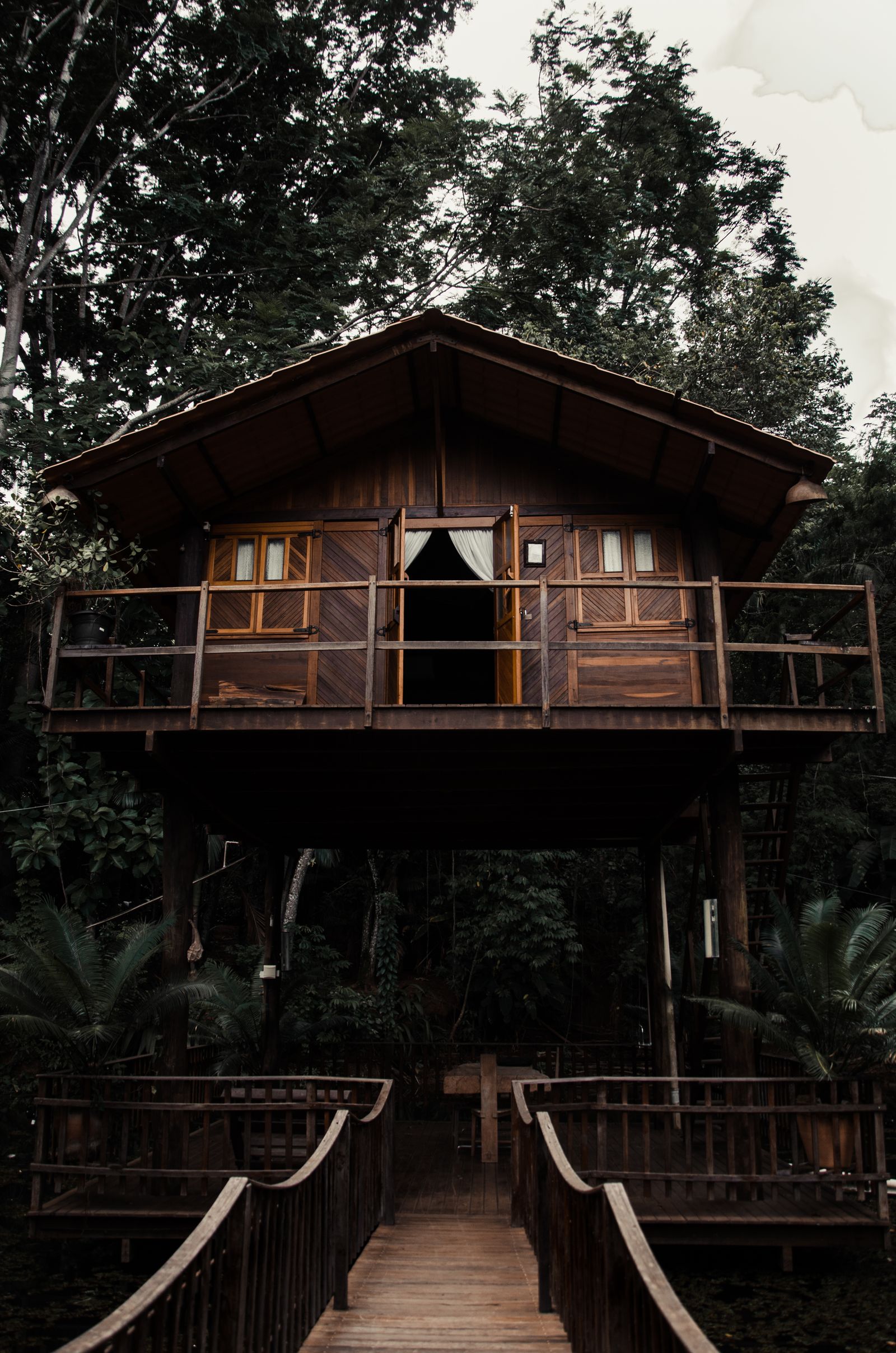 A cozy wooden treehouse nestled among lush forest greenery