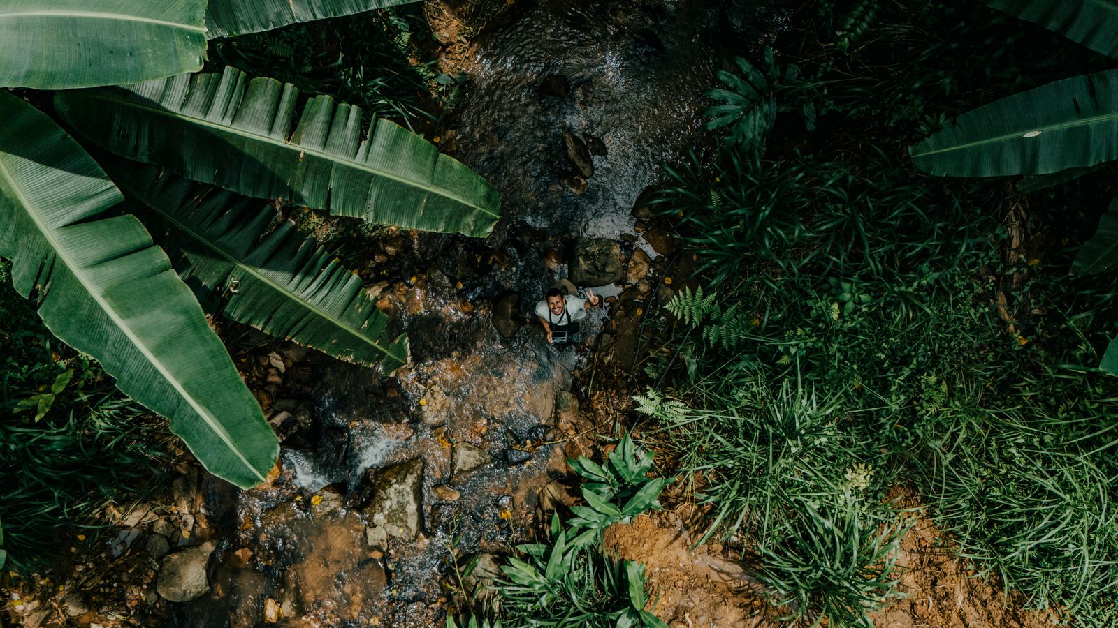 Aerial view of a person standing in a jungle stream surrounded by lush green foliage in Sri Lanka.