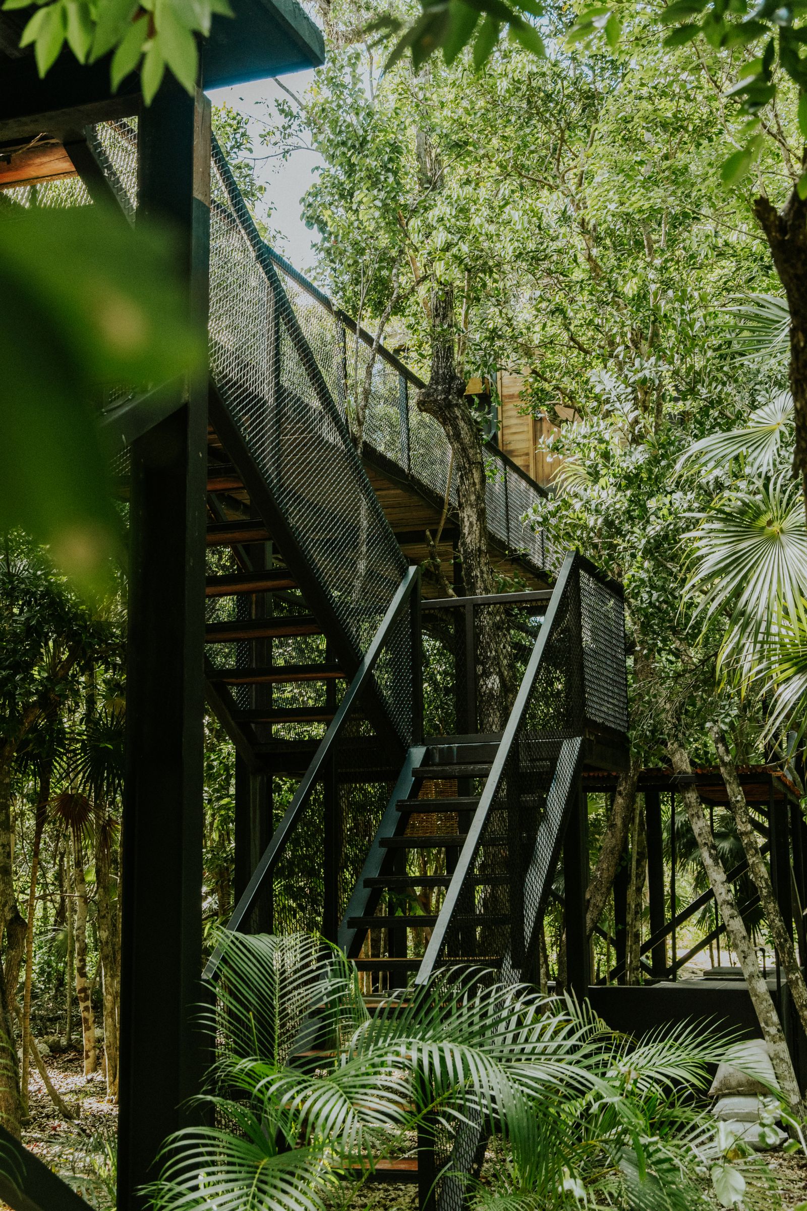 A modern treehouse with stairs amidst lush jungle foliage