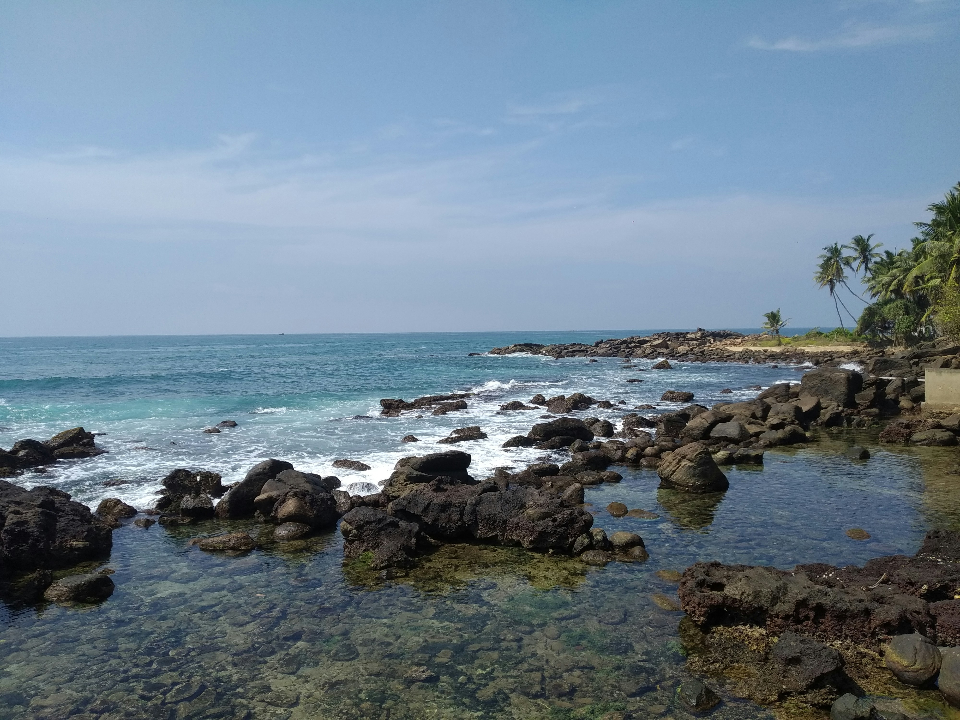 a body of water surrounded by rocks and palm trees